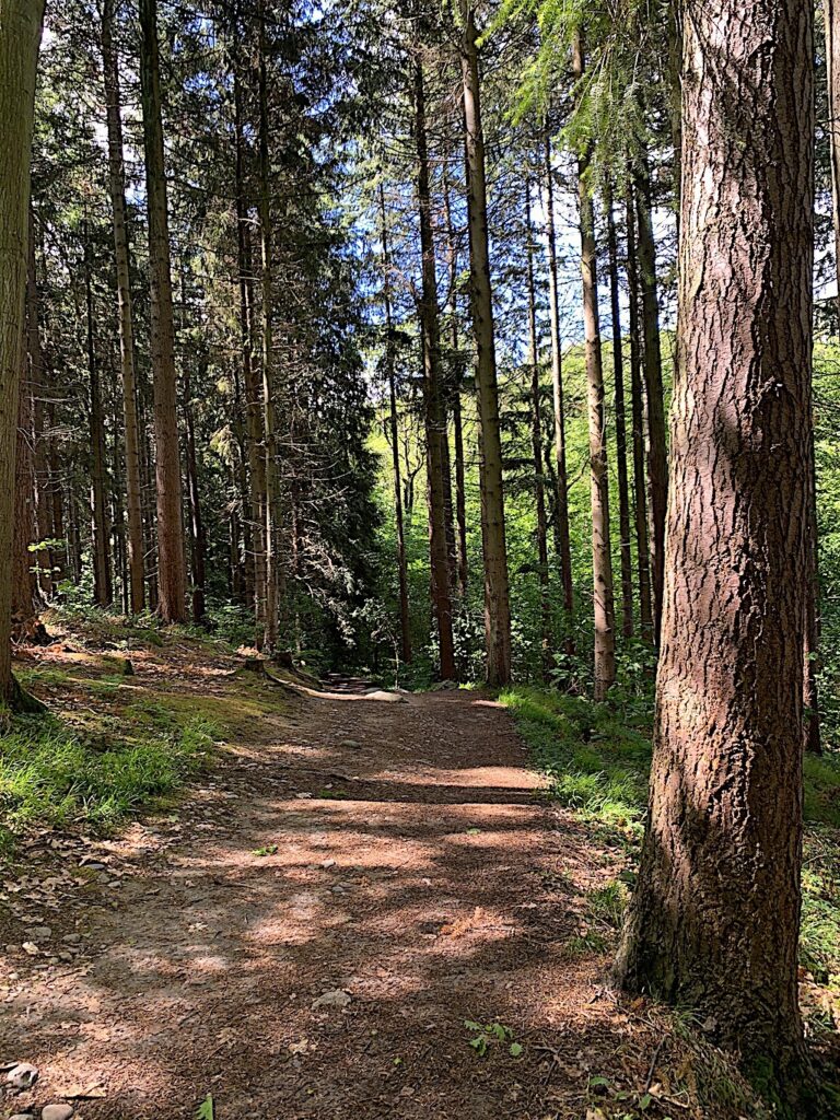 vandresti til døndalen på bornholm